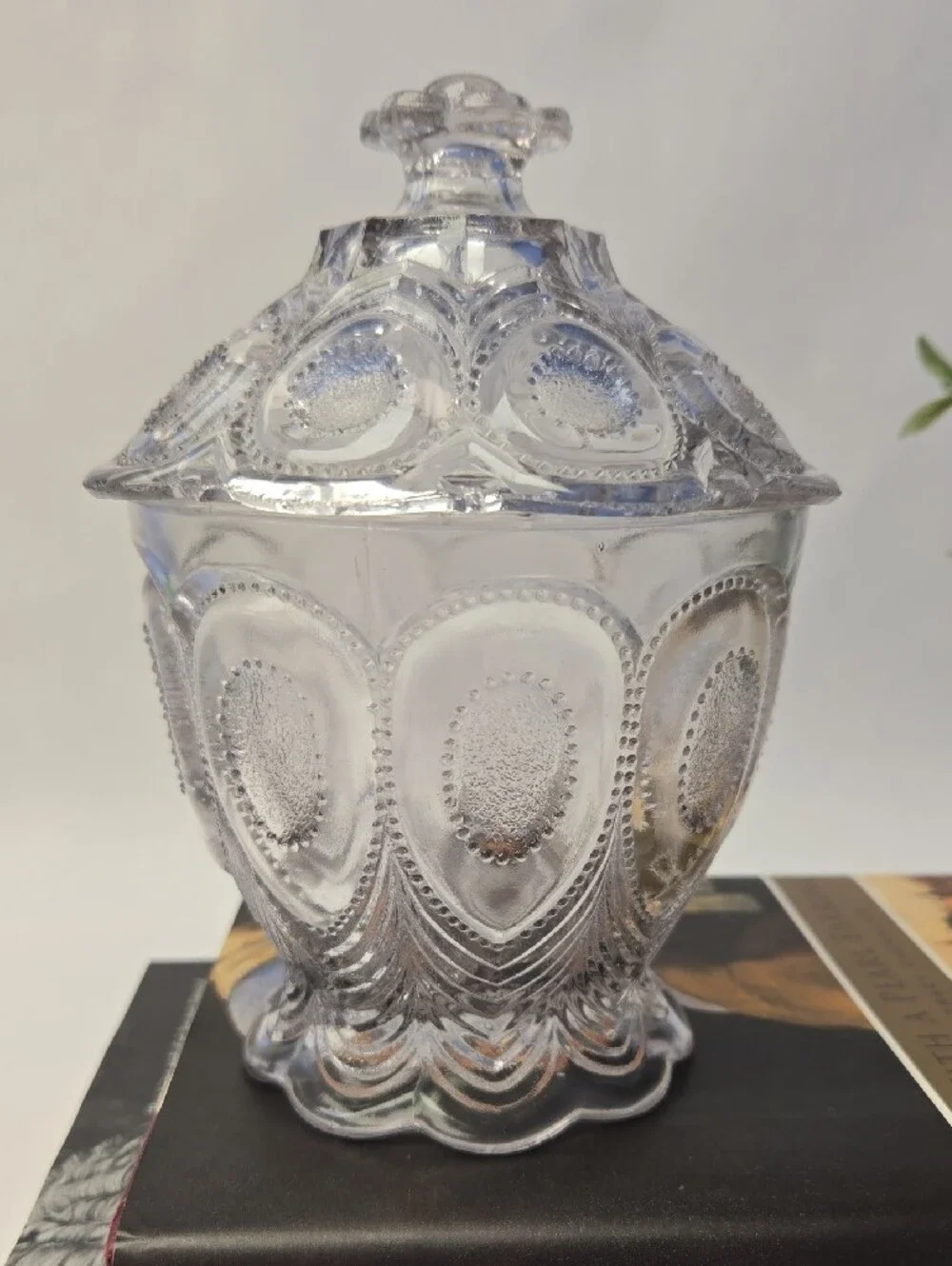 Antique EAPG Glass Covered Sugar Bowl